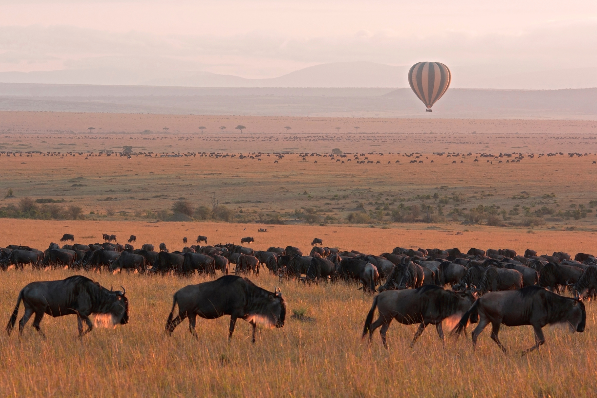 Masai Mara, Kenya