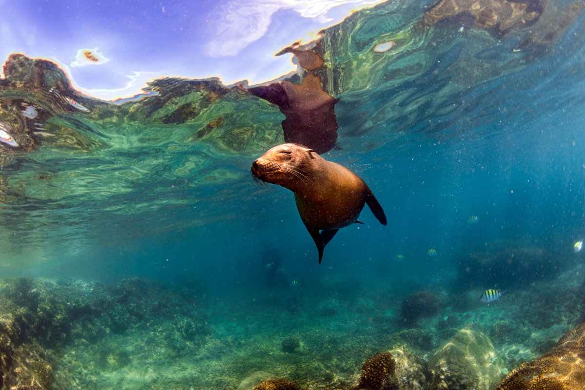 Galapagos Islands expedition cruise