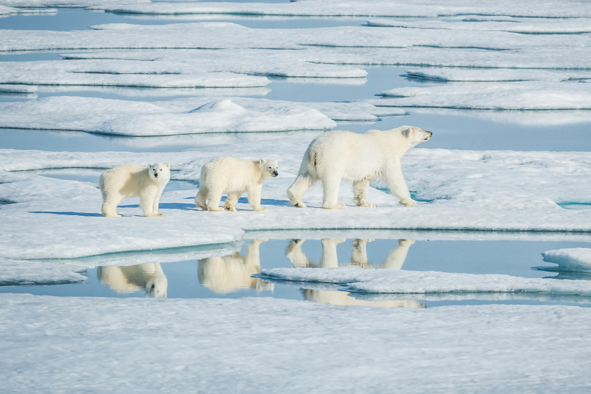 Antarctica and Alaska expedition